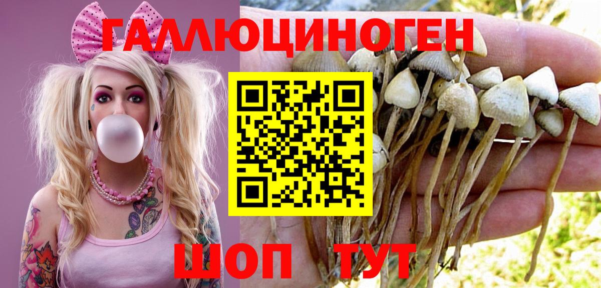 Назрань  Псилоцибиновые грибы GOLDEN TEACHER  Вход с VPN  хочу   Галлюциногенные грибы мухоморы 